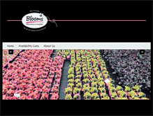 Tablet Screenshot of bloomswholesalenursery.com